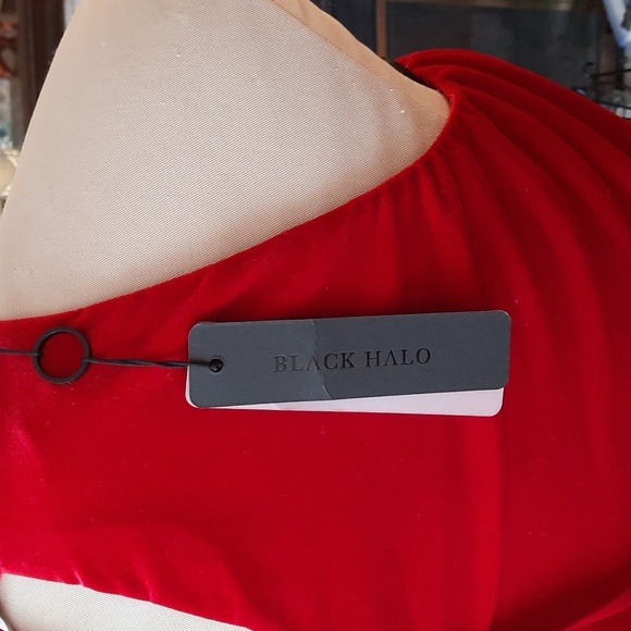 Black Halo Velvet Dress - Picture 6 of 6